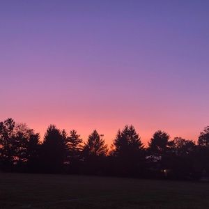 Meet your Posher, Bridget